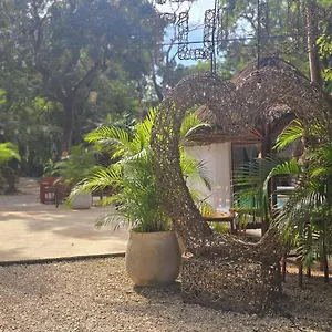  Affittacamere Kin Jungle Deluxe